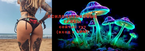 молекула духа Вяземский