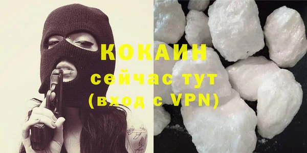 молекула духа Вяземский