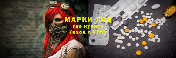 ешки Вязьма