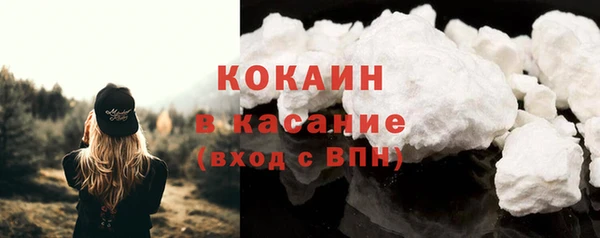 молекула духа Вяземский