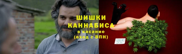 молекула духа Вяземский