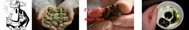 молекула духа Вяземский