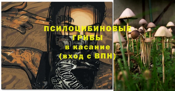 молекула духа Вяземский