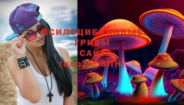 молекула духа Вяземский
