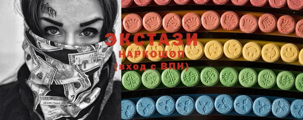 молекула духа Вяземский