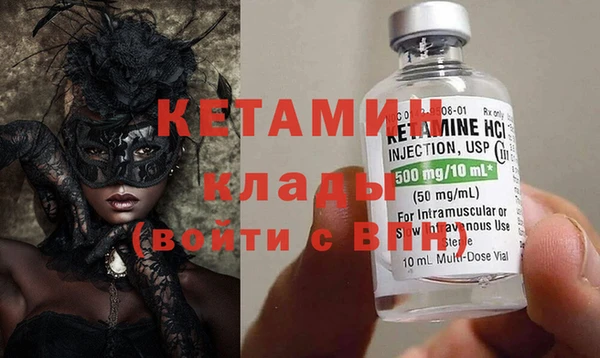 молекула духа Вяземский