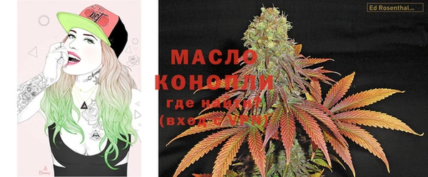 молекула духа Вяземский