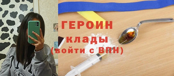 молекула духа Вяземский