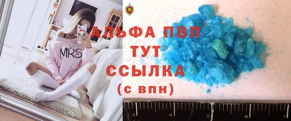 молекула духа Вяземский
