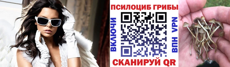 МЕГА ссылки  Сусуман  Псилоцибиновые грибы Psilocybe 