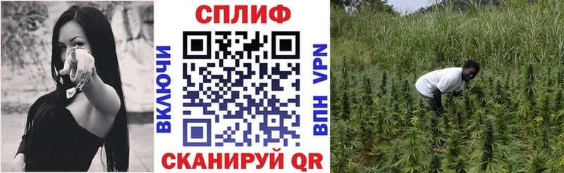 Канабис Amnesia  дарнет шоп  Сусуман 
